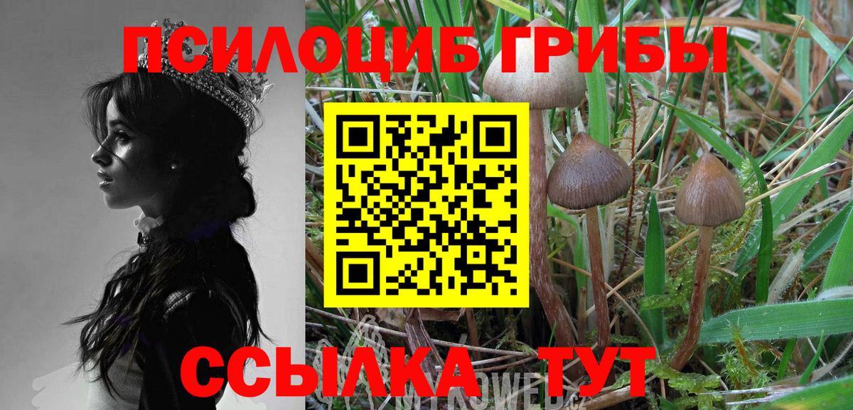 Галлюциногенные грибы Magic Shrooms Хасавюрт