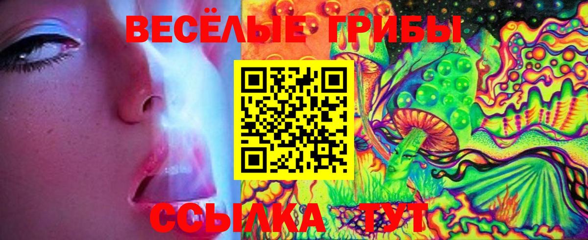 Псилоцибиновые грибы мицелий  Вход с VPN  Псилоцибиновые грибы GOLDEN TEACHER  Хасавюрт 