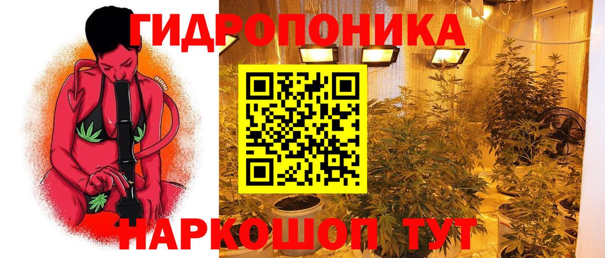 Шишки марихуана гибрид Хасавюрт